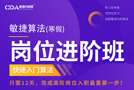 數據算法（寒假）崗位進階班 ...