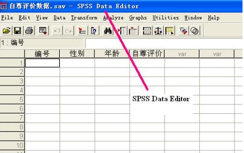 spss數據編輯窗口（ data editor）