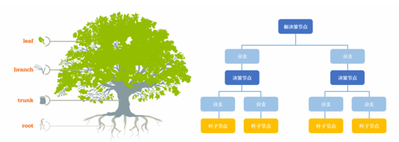 決策樹分類和預測算法的原理及實現