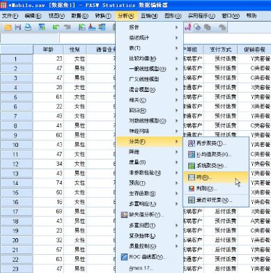 多變量分析：分類決策樹CHAID&CRT
