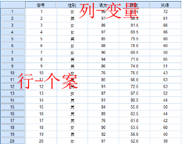 SPSS數據錄入對格式的要求