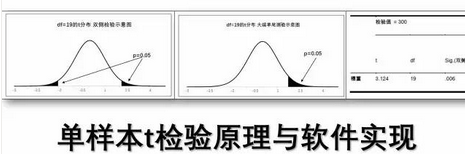 單樣本t檢驗的spss實現 