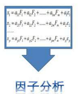 因子分析中根據因子載荷大小刪除題目的標準