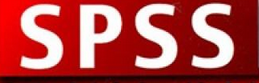 SPSS時間序列：擬合優度測量
