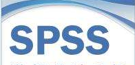 SPSS復雜樣本：復雜樣本統計過程