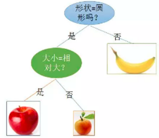 機器學習：談談決策樹